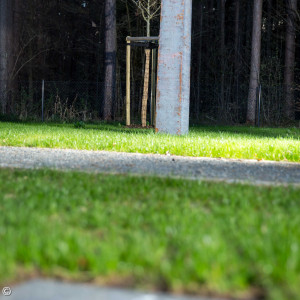 Friedhof Kreuz2